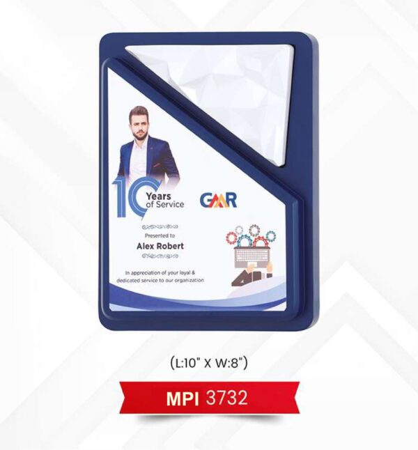 Plaque Trophy Code : MPI 3732