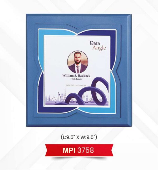 Plaque Trophy Code : MPI 3758
