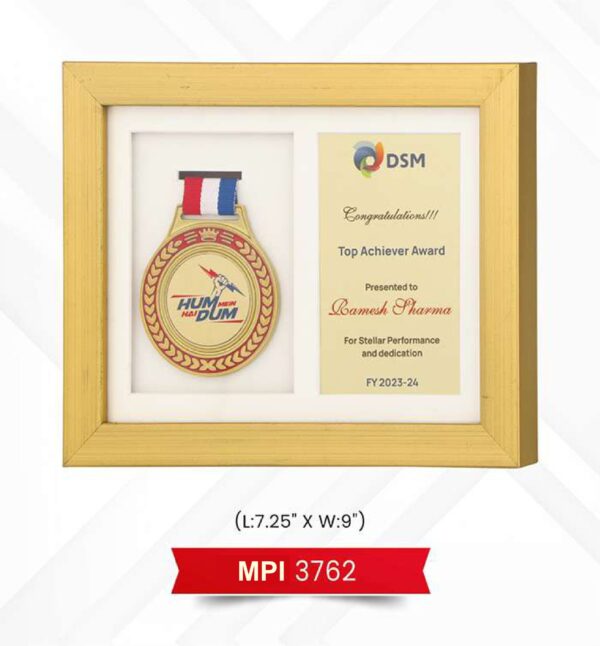 Plaque Trophy Code : MPI 3762