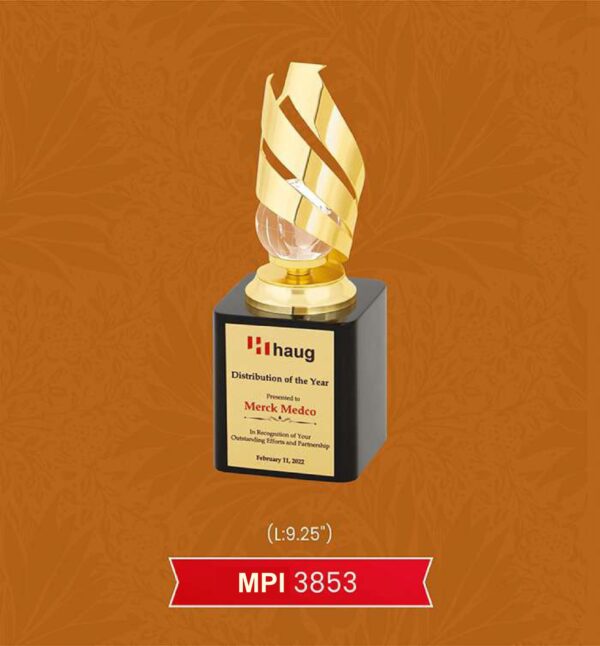 Trophy & Award Code : MPI 3853