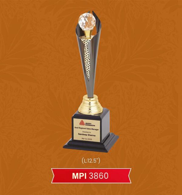 Trophy & Award Code : MPI 3860