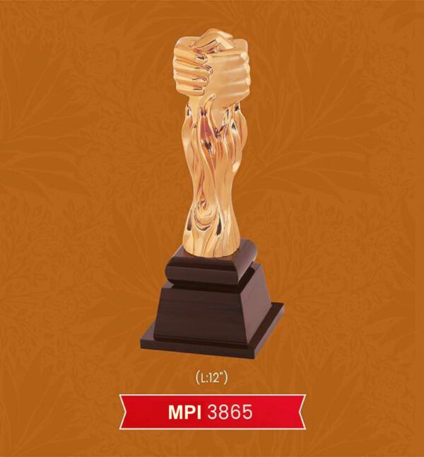 Trophy & Award Code : MPI 3865