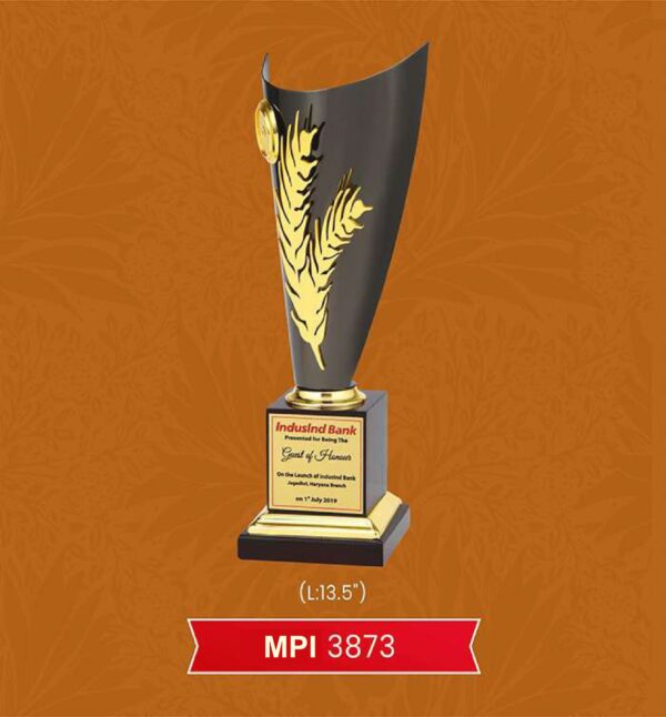 Trophy & Award Code : MPI 3873