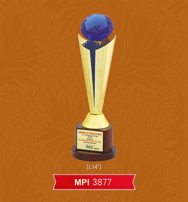 Trophy & Award Code : MPI 3877