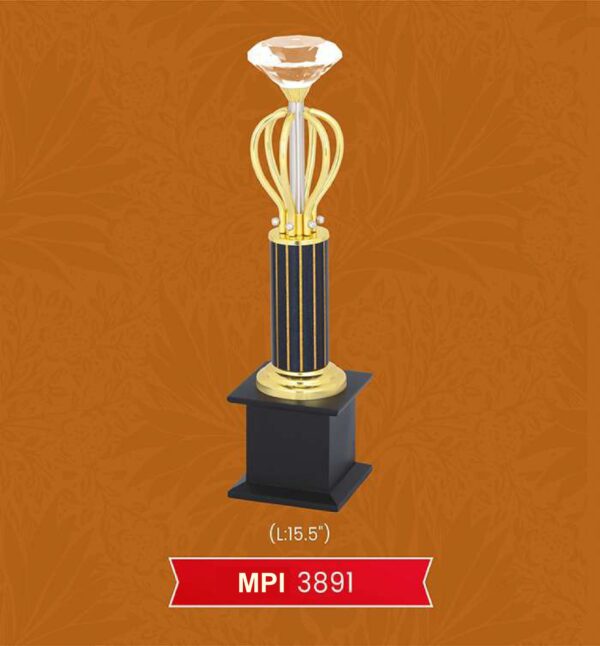 Trophy & Award Code : MPI 3891
