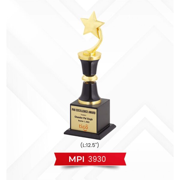 Star Trophy  Code : MPI 3930